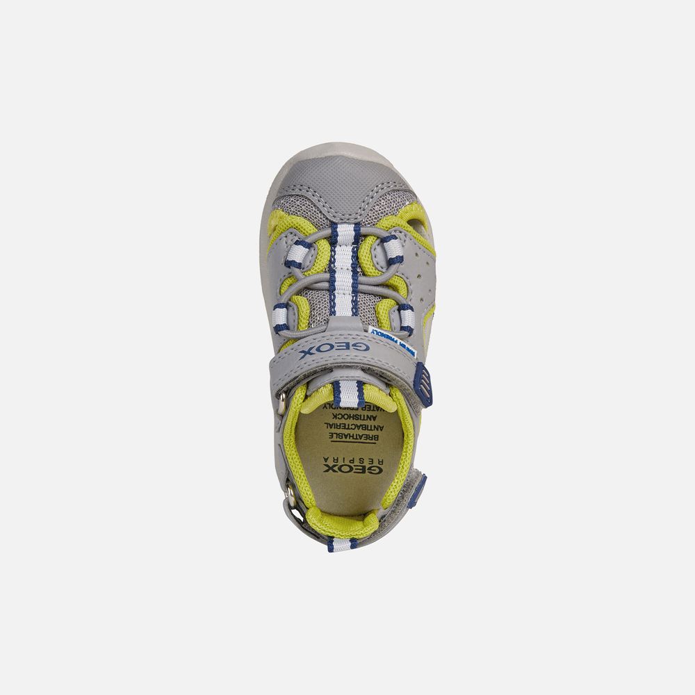 Sandales Geox Multy Boy - Grise/Vert - Bebe 078215-ZJS